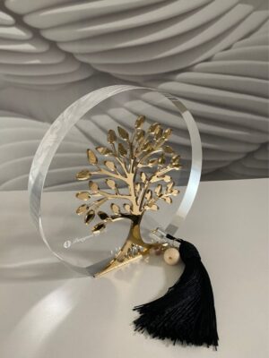 Plexi glass με καθρέφτη plexi glass φούντα και κρύσταλλα  | ID: 3158